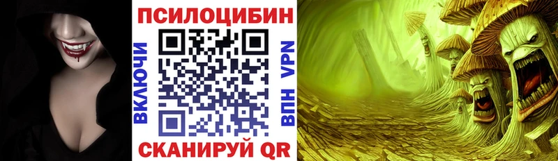Псилоцибиновые грибы мицелий  что такое   Тогучин 